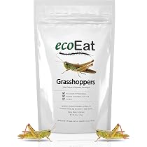 Amazon.com : ecoEat Edible Bugs Dehydrated Grasshoppers – 15g Pack ...