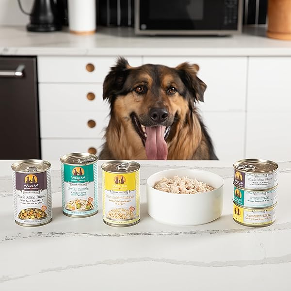 WERUVA CLASSIC DOG FOOD, GRANDMA’S CHICKEN SOUP WITH CHICKEN BREAST & VEGGIES, 14OZ CAN (PACK OF 12), TEAL (878408004568)