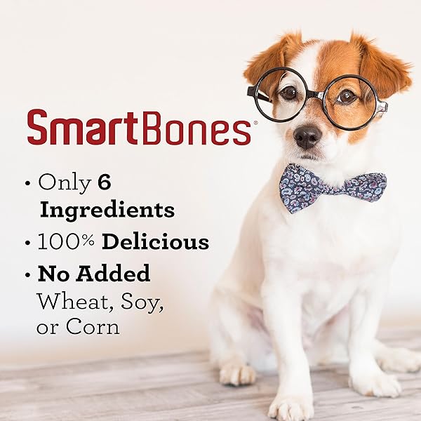 SMARTBONES PROTEIN RINGS WITH REAL DUCK, PUMPKIN AND FLAXSEED, 5 OZ