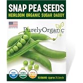 Organic Snap Pea Seeds (Sugar Daddy) - Approx 75 Seeds - USDA Organic, Non-GMO, Open Pollinated, Heirloom, USA Origin