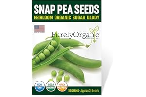 PURELY ORGANIC PRODUCTS LLC Organic Snap Pea Seeds (Sugar Daddy) - Approx 75 Seeds - USDA Organic, Non-GMO, Open Pollinated, Heirloom, USA Origin