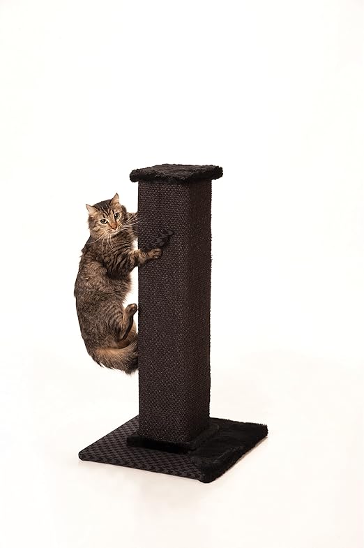 hills intestinal diet dog food