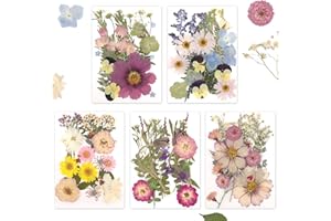Gugxiom Dried Pressed Flowers, 100Pcs Real Dried Flowers for Resin, 5 Color Themes, for Resin Molds, Candles, Nails Art, Phon