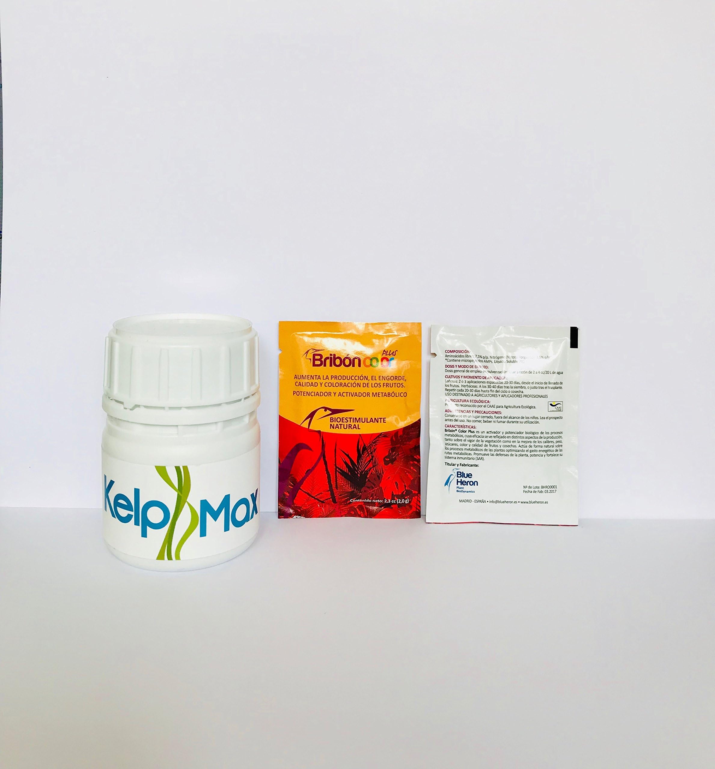 Pack BRIBON® M2+ KELPMAX® 100 ml. (400 m2); Vitamins/Algae/Nutrients; Nano-concentrated product, for complete cycles of cultivation with increased efficiency. Potent biostimulant, anti-stress, biological activator, enlarges and enhances crop and plant color. Improves plant quality and production of fruits, buds, and flowers. Conventional-ecological-amateur-professional.