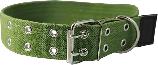mastiff dog collars