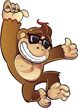 monkey with sunglasses