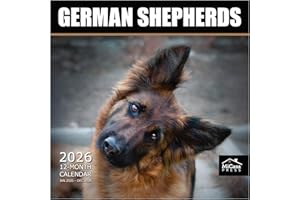 MICASA PRESS MICASA German Shepherds 2026 Wall Calendar 12 Month | 12" x 24" Open | Thick & Sturdy Paper | Giftable | Calendar 2026