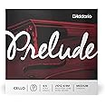 D'Addario Prelude Cello Single D String, 4/4 Scale, Medium Tension, Model: J1012 4/4M