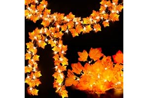 LUDITEK Fall Decor 2 Pack Lighted Fall Garland, Total 16.4ft 40 LED Thanksgiving Decorations Halloween String Lights, Friendsgiving Gift Thanksgiving Decor for Home Holiday Autumn Garland Indoor