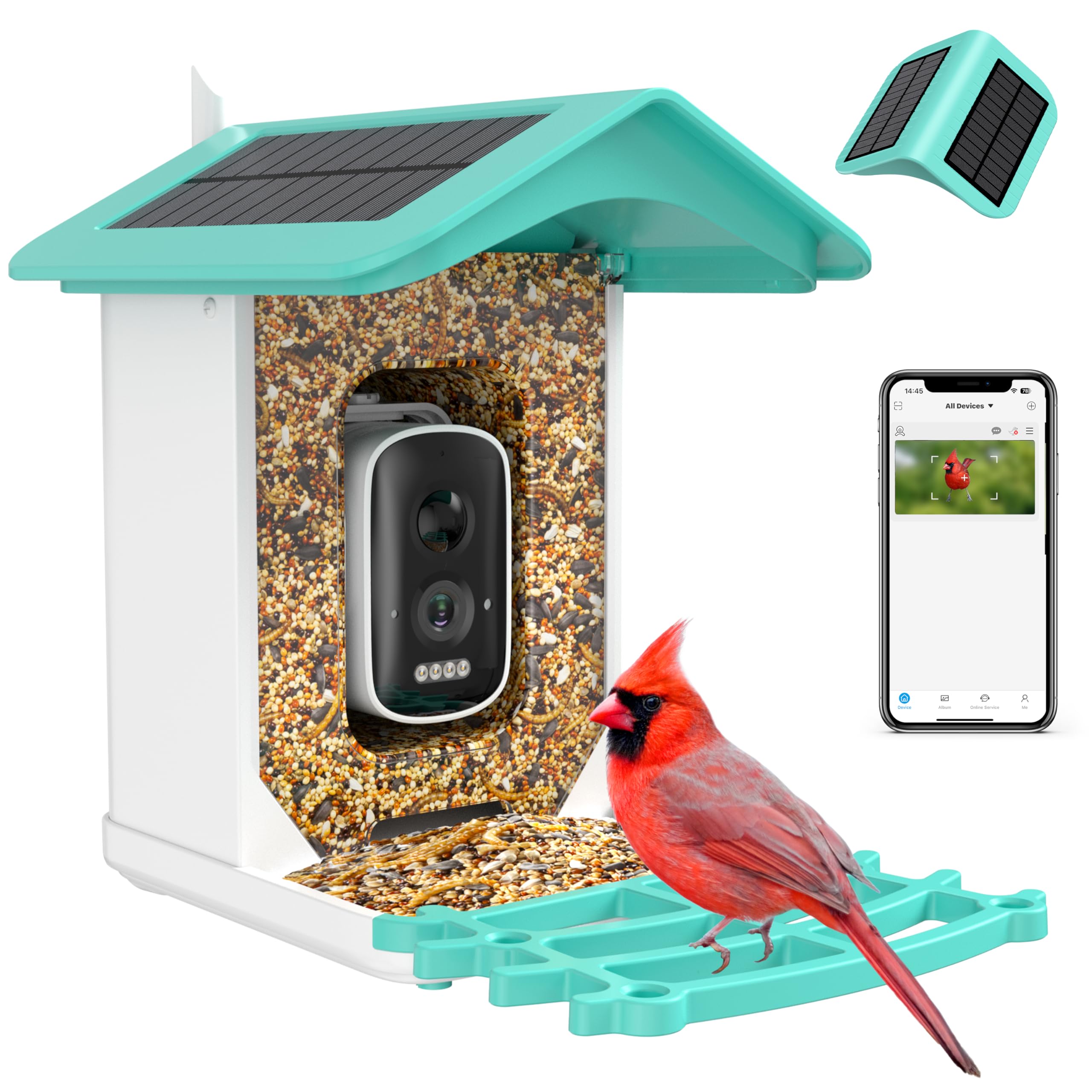 Photo 1 of Smart Bird Feeder with Camera, AI Recognition and Solar Powered, Identify 11000+ Bird Species, Auto Capture & Notify, Ideal Gift for Bir d Lovers.?Dual Panel?