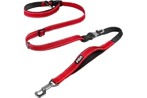 Fida 6-in-1 Hands Free Dog Leash Heavy Duty, Reflective Wasit Corssbody Dog Leash with Car Seat Clip | Adjustable for Running Hiking | Shock Absorbing Bungee, Dual Padded Detachable Handles (Red)