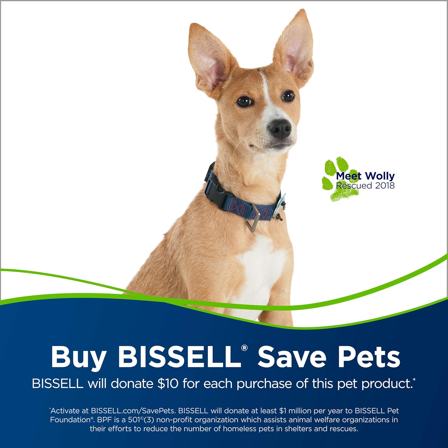 BISSELL Cleanview Rewind Pet Deluxe Upright Vacuum Cleaner, 24899, Green -