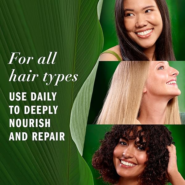 HERBAL ESSENCES REPAIRING LEAVE-IN CONDITIONER, CERTIFIED PURE PLANTS, WITH ALOE AND CAMELLIA FLOWER OIL, 7.6 FL OZ