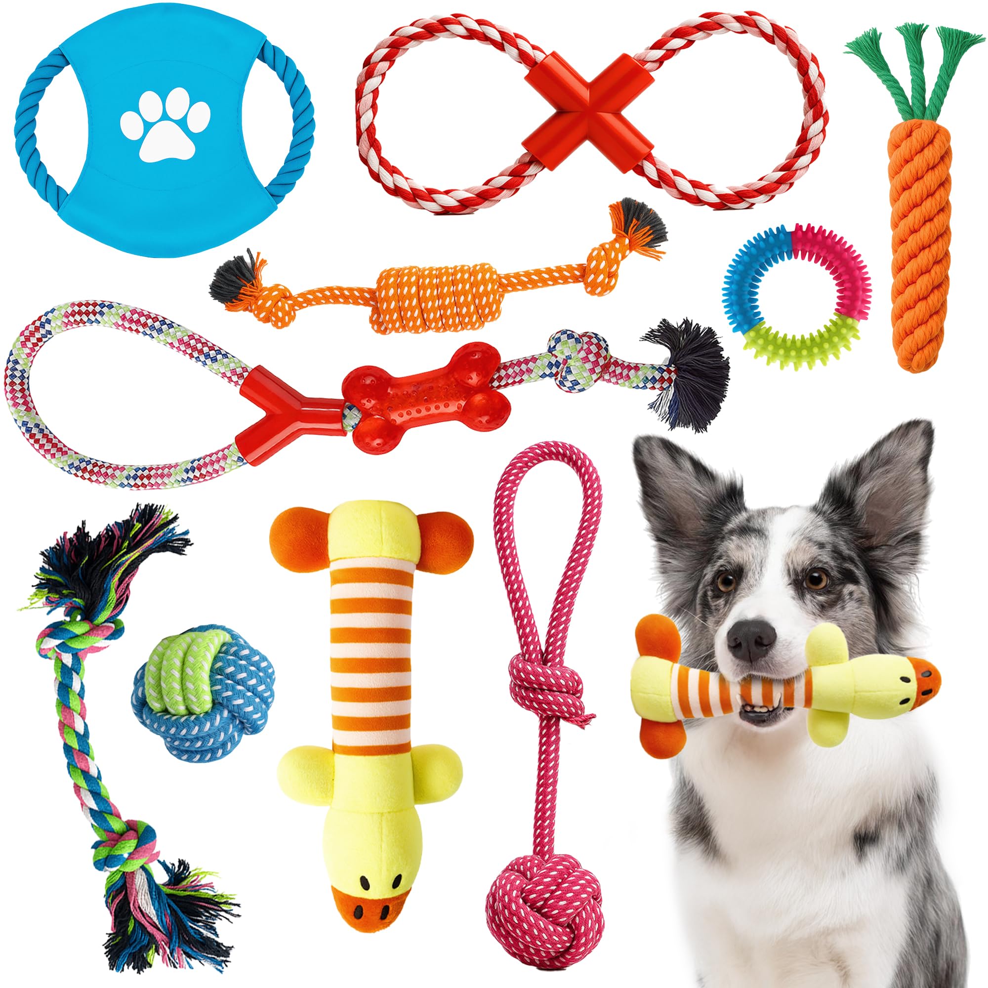 ZENO Chew Dog Toys - Pack of 10 | Teething & Training Washable Cotton Safe Dog Toy Gift Set | Strong Ropes, Balls & Tug for Exercise & Fun | Great for Small, Medium & Large Puppies & Dogs