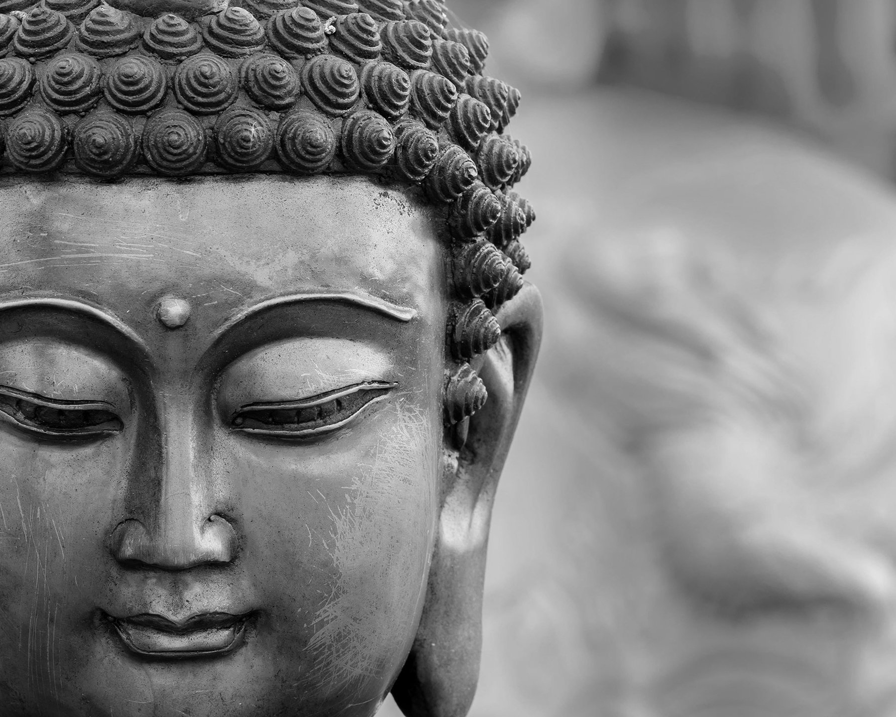 Wall Rogues WR50557 3 x 2.4 m "Buddha" Mural Wallpaper - Grey