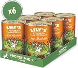 Lily's Kitchen Lean Machine Adult Wet Dog Food 6 x 400g Turkey Kale view 4