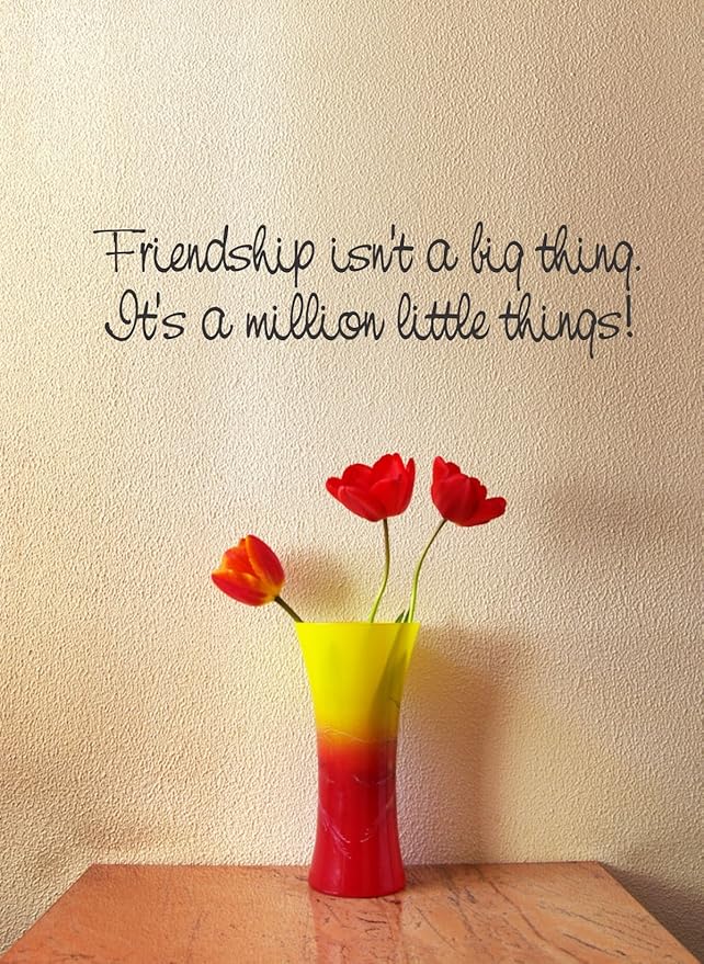 Amazon.com: Friendship isn't a big thing it's a million little things vinyl Wall Decals Quotes ...