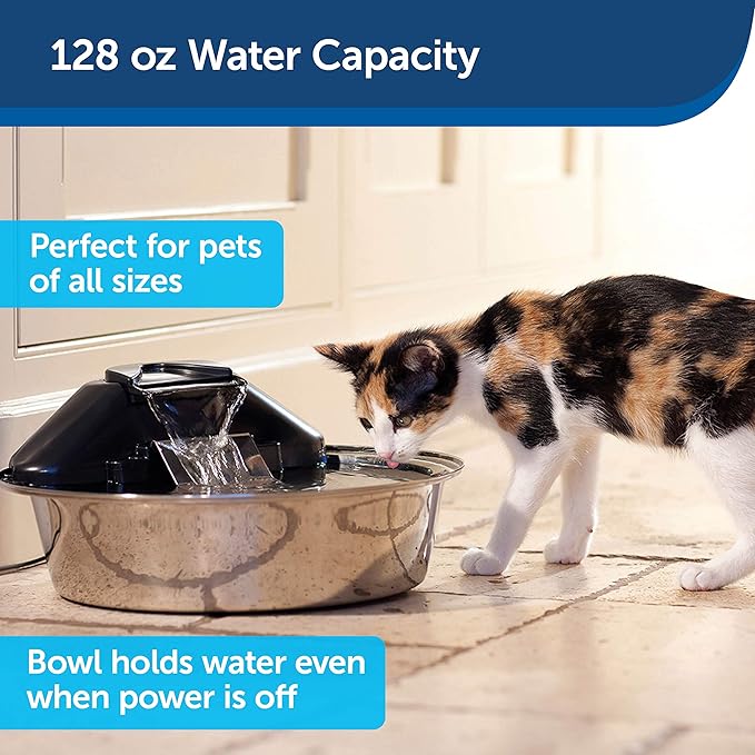 drinkwell zen fountain