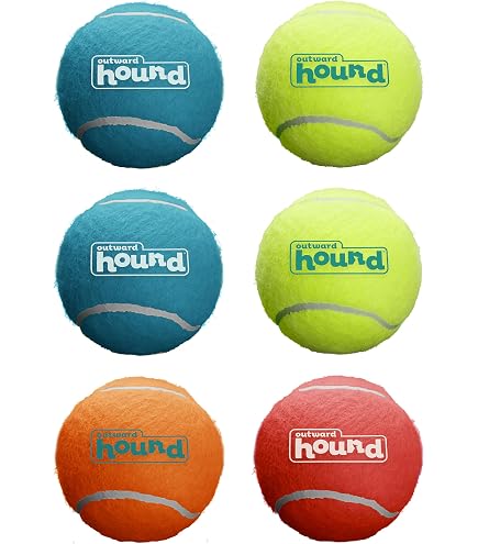 KONG Signature Ball – Hundespielzeug, Größe L, Robust, Für Apportierspiele