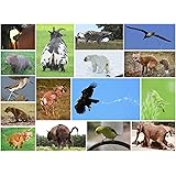 Pooping Animals 500 Piece Puzzle - Funny Gag, Weird Puzzles for Adults White Elephant & Dirty Santa. Hilarious Pooping Dog, G