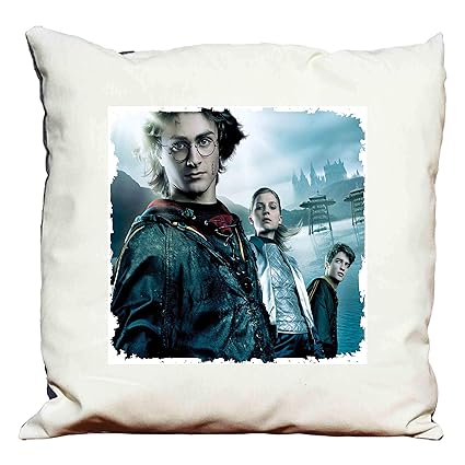 Harry Potter 4 Kissen