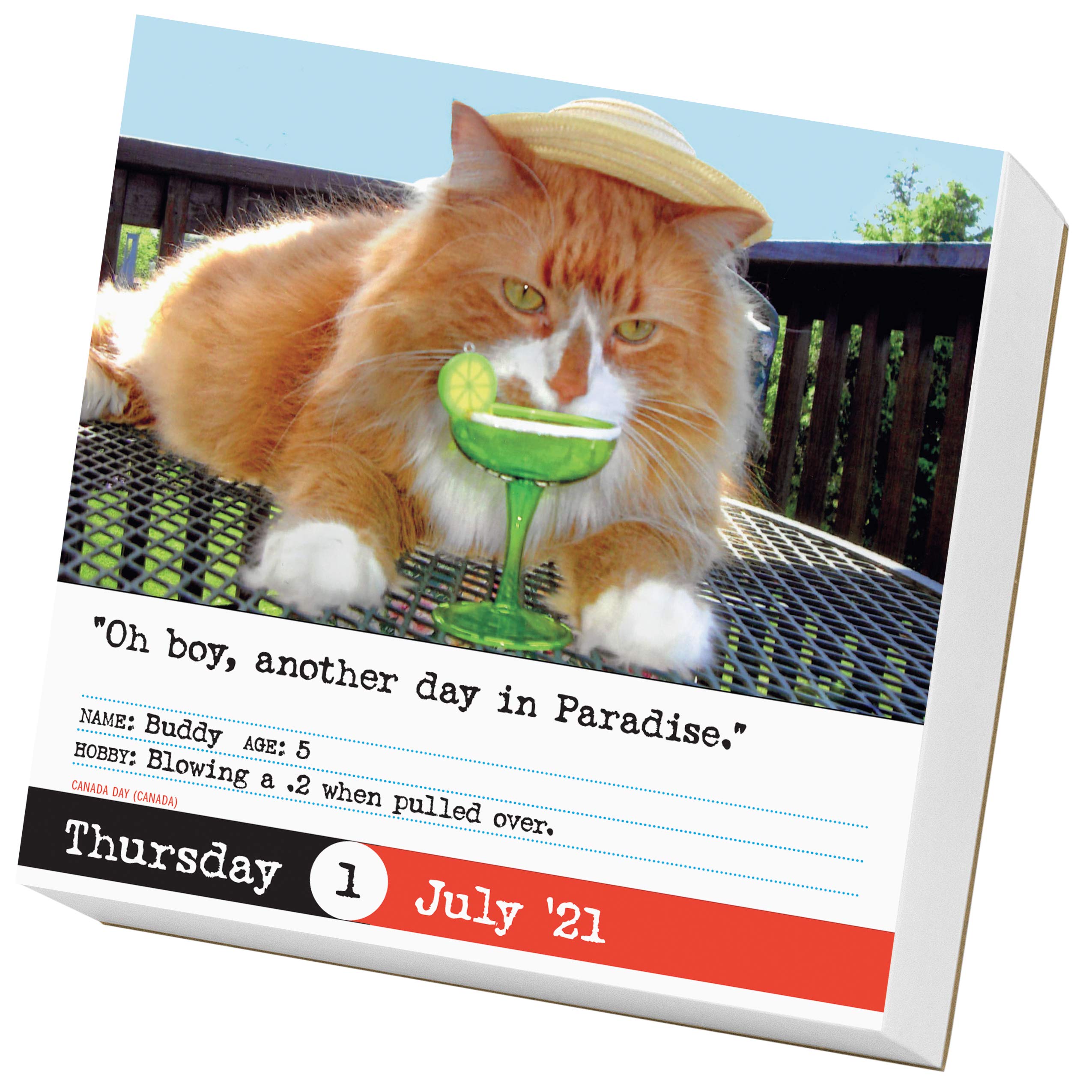 Bad Cat Page A Day Calendar 2021 Workman Calendars 9781523508334 Amazon Com Books bad cat page a day calendar 2021