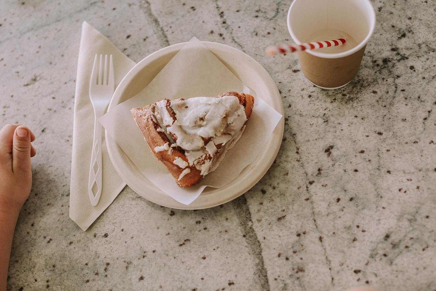 Earth's Natural Alternative Eco-Friendly, Natural Compostable Plant Fiber 10" Plate, Natural, 125 Count, Model:: Kitchen & Dining