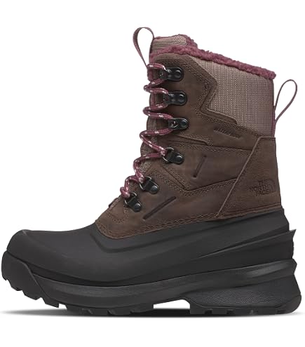 Amazon.com: The North Face Chilkat V 400 Waterproof Snow  display picture 1