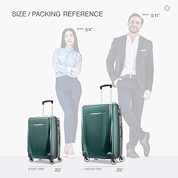 delta baggage size
