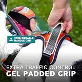 Embark Pets No-Pull Dog Harness Front & Back Leash Clips Adjustable Paw view 7