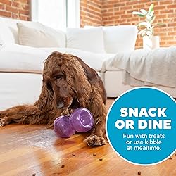 Outward Hound Double Snoop Interactive Treat