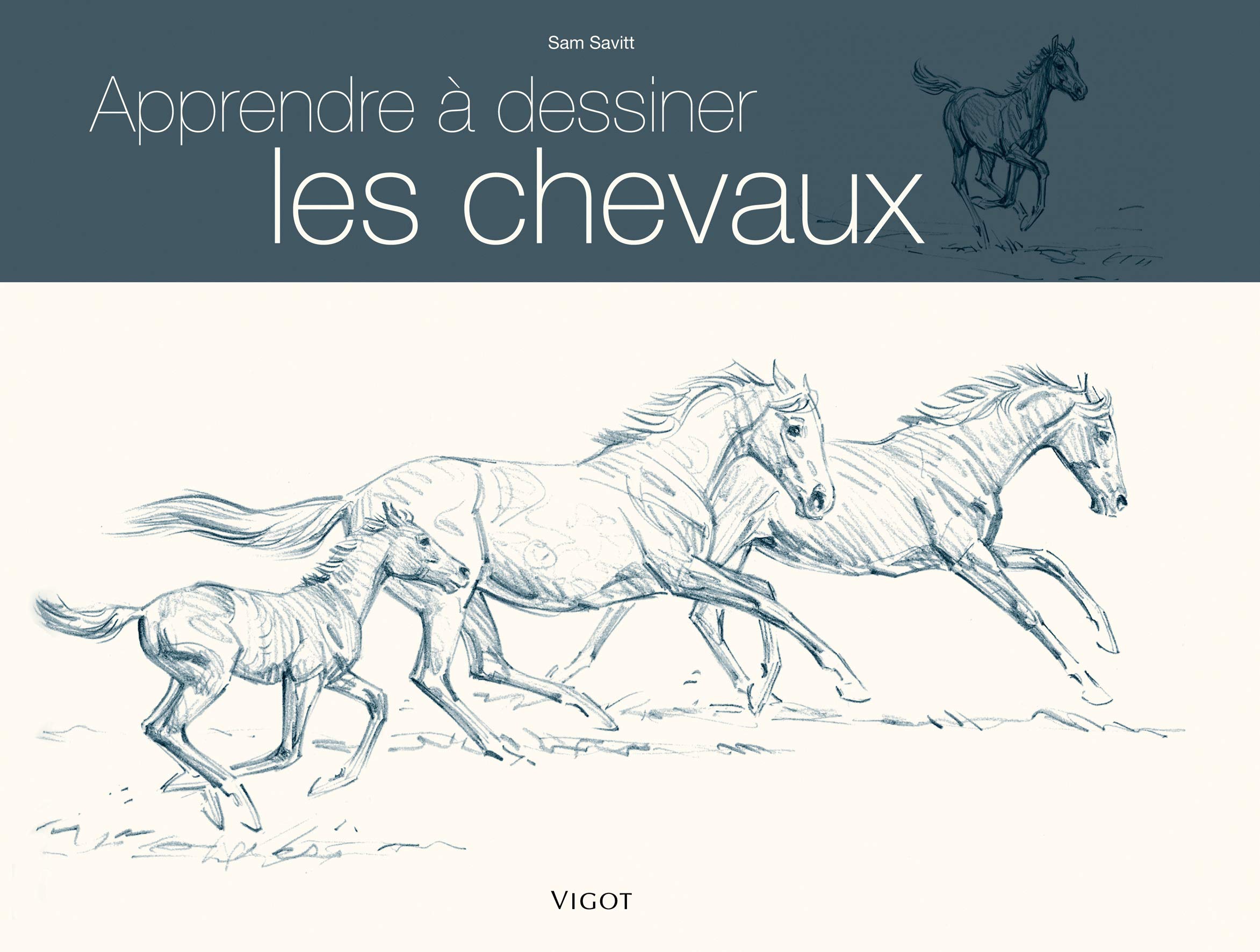 Apprendre A Dessiner Les Chevaux Animaux Et Nature Sam Savitt