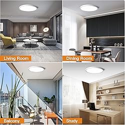 TALOYA Dimmable Flush Mount Ceiling
