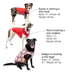 Kurgo Loft Dog Jacket, Reversible Winter Coat for