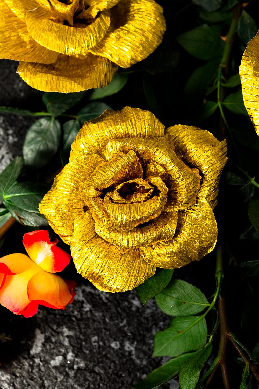 格安人気 ペーパーフラワー装飾ウェディング背景 ベビーシャワー 保育園壁の装飾 クレープ紙の花 手作り花shinyゴールドローズセット5 ガーデンパーティー写真ブース バレンタインの日 B078lttg5n 代引不可 Www Irispicture De