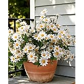 FERLLY Artificial Flowers, 12 Bundles Daisy Flowers for Outdoors Planters (144 Blooms), Fake Wildflowers, Faux Plants with Silk Daisies for Front Porch Garden Patio Home Aesthetic (White)