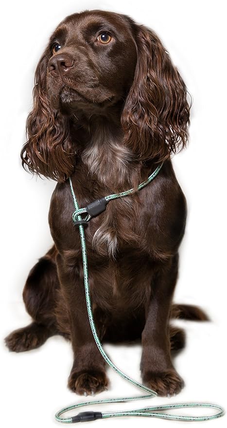 field trial slip lead