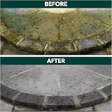 One Chem Patio Cleaner 5L Heavy Duty Path Mould Algae Lichen Detergent view 3