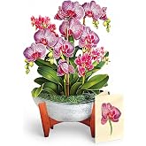 Freshcut Paper Orchid Oasis 13.5" Life-Sized 3D Pop Up Card | Includes Greeting Card and Envelope &ndash; Note Card for Birthday, Anniversary &amp; More, Gifts for Mom &amp; Her