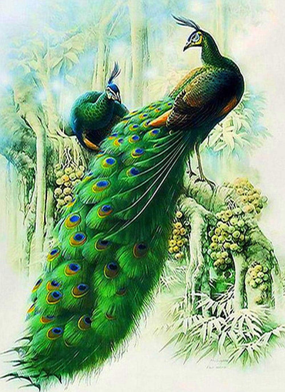5D DIY Diamond Painting Animal Peacock Love Gift Christmas Gift Home Decor