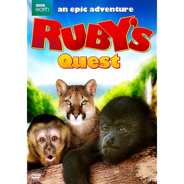 Amazon.com: The Big Adventure Series: The Big Zoo [DVD] : William