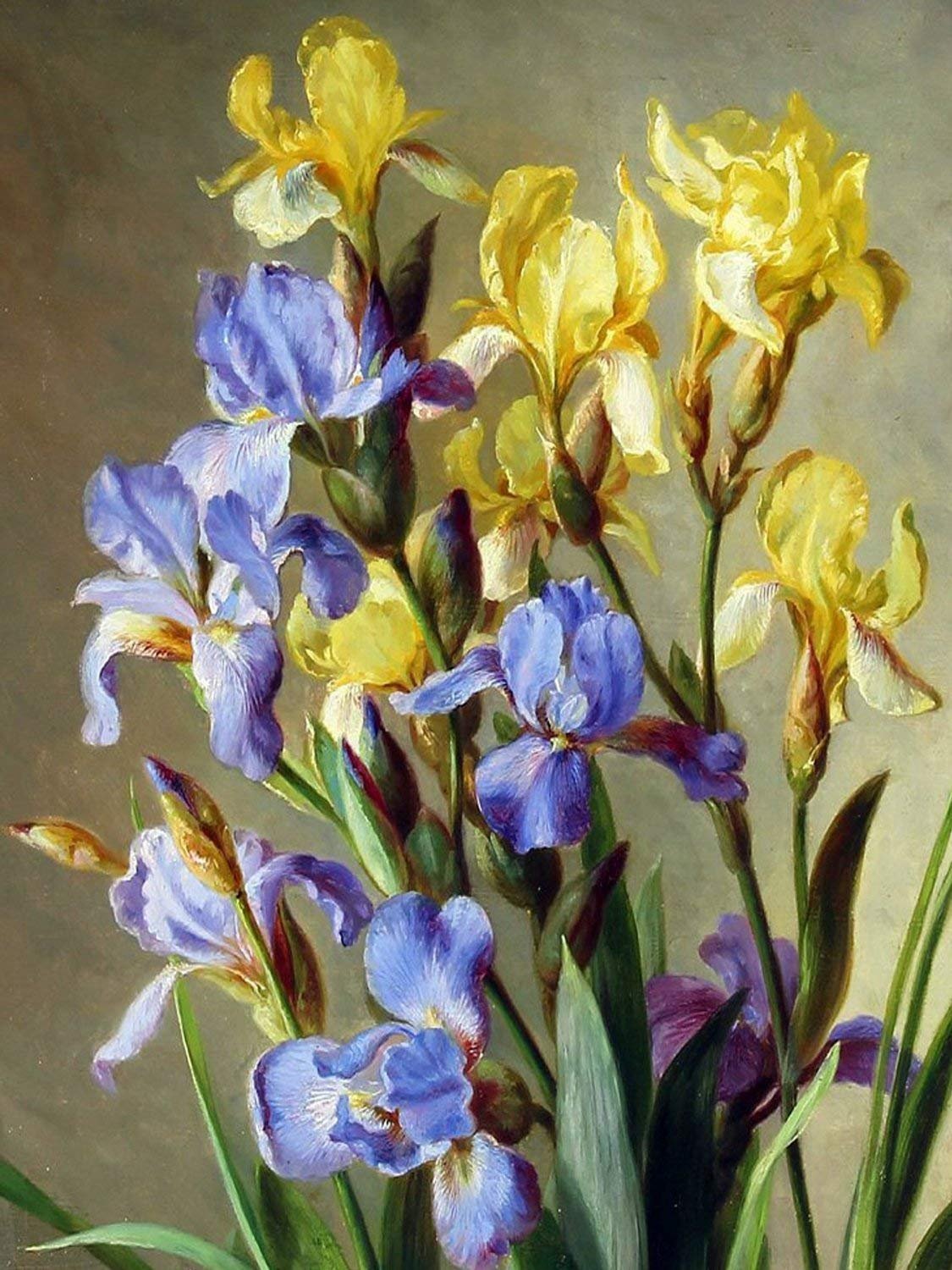 Irises flowers by E. Mulvad Tile Mural Kitchen Bathroom Wall Backsplash Ceramic