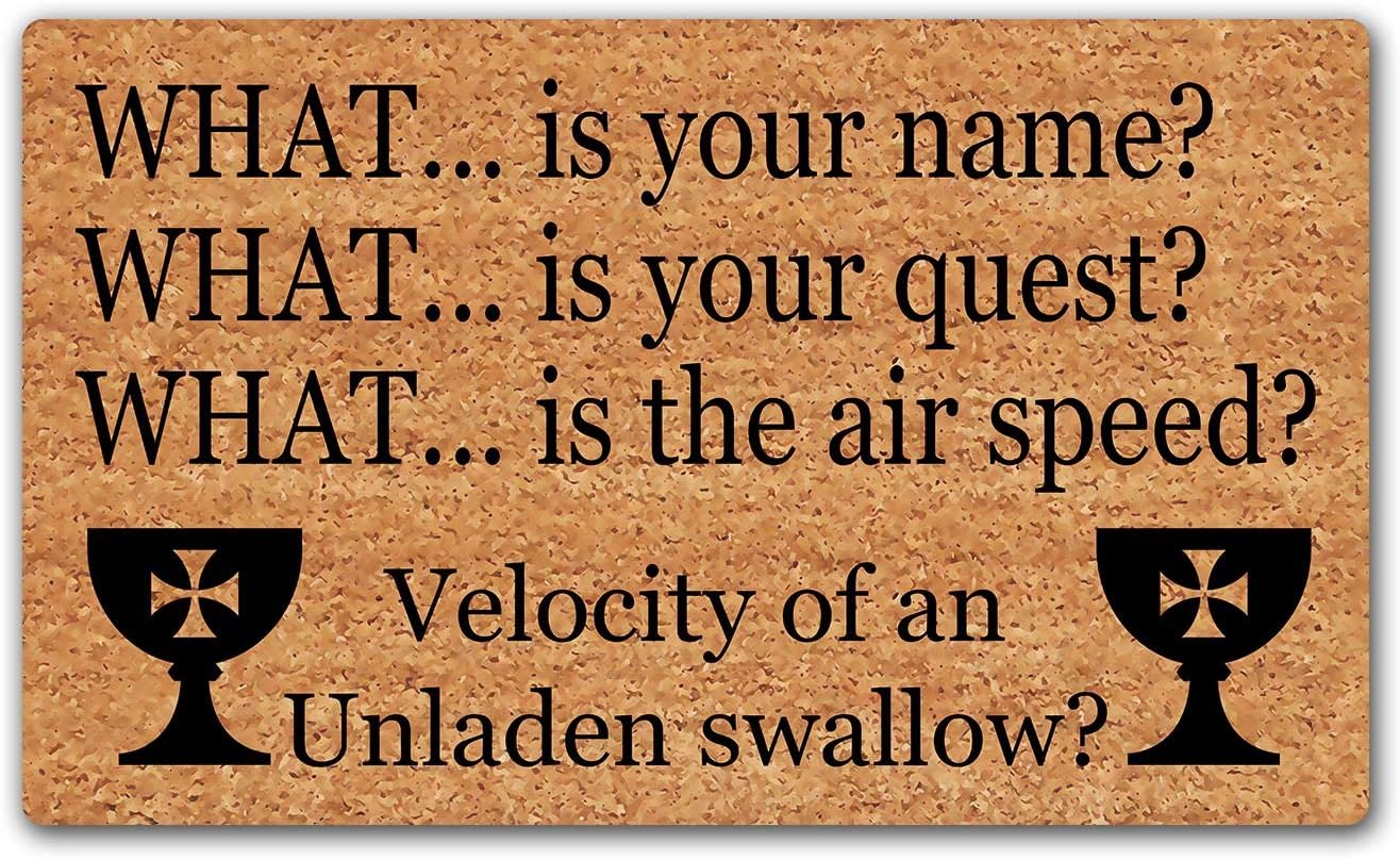 LuckyChu Doormat Monty Python and The Holy Grail Funny Floor Mat Rug Non-Slip Entrance Indoor Outdoor Bathroom Kitchen Home Mats Rubber 30 by 18 inch