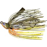 Dirty JigsSwim Jig,