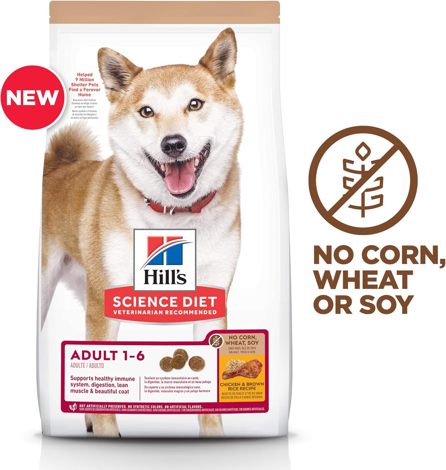 Hill's Science Dry Best Dog Food pour éviter les gaz