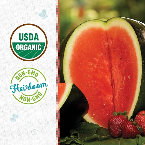 Watermelon Packet Watermelon Seed Packet Back
