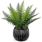 DILATATA Faux Plant Indoor in Ceramic Pot 13" Artificial Potted Fern Fake House Plants for Desk Office Bathroom Garden Decoration