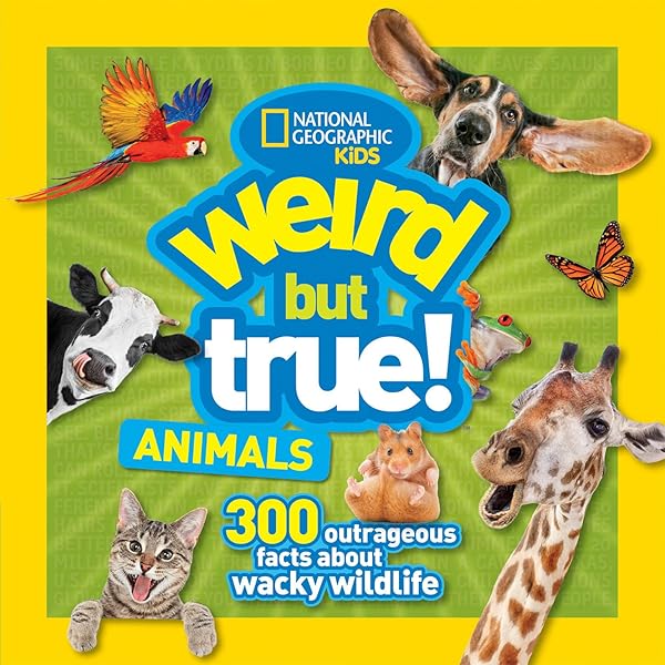 その他 Animal Bites [DVD] Wild Animals (Animal Planet Animal Bites): Animal Planet
