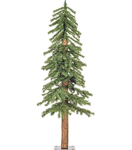 Amazon.com: Vickerman 5' x 25