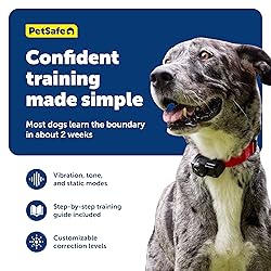 PetSafe Wireless Pet Containment System - Original